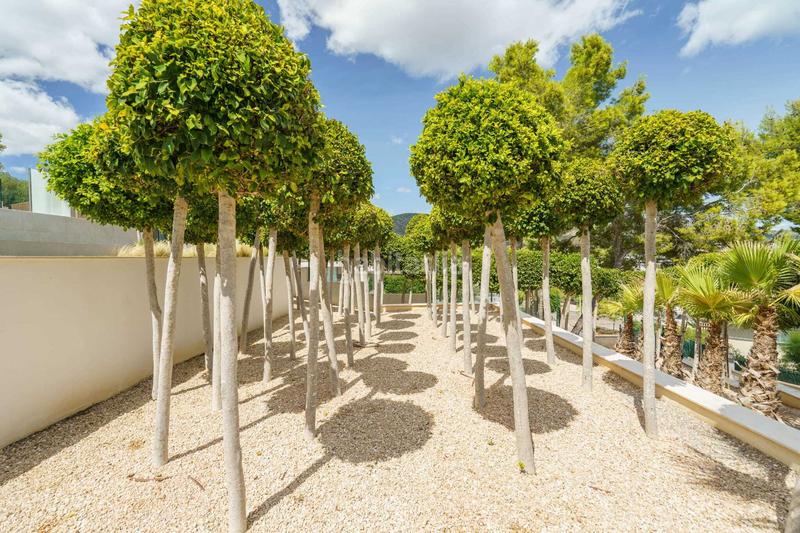 Foto 4e2a7d99-95ef-4b8a-b6df-4822fec1ba98. Casa en Palmanova Calvià