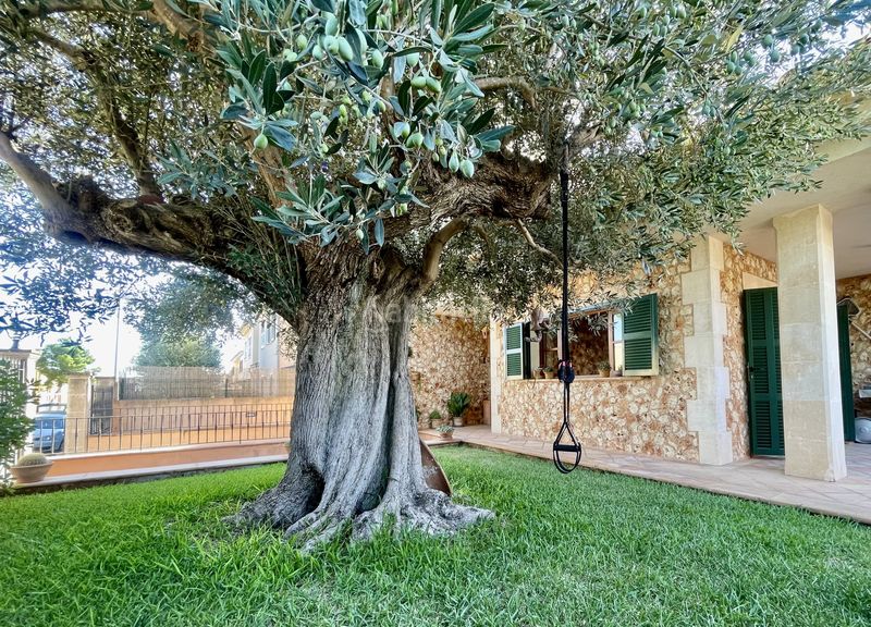 Foto 5e3413a2-4de6-40f8-bb7c-987998b30586. Casa exclusivo chalet independiente su sueño de vida mediterránea en Marratxí