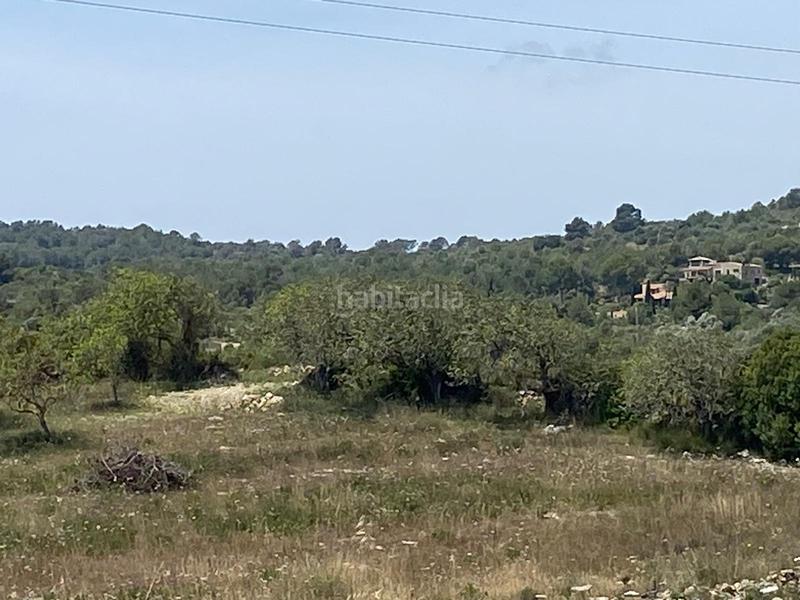 Foto 2022d2bc-1acb-4ddb-8819-c2903309a243. Terreny residencial a Zona d´Interior Son Servera