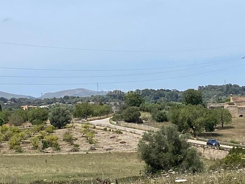 Foto feda009a-9ef9-46b7-b368-1ef2265fd352. Terrain résidentiel dans Zona d´Interior Son Servera