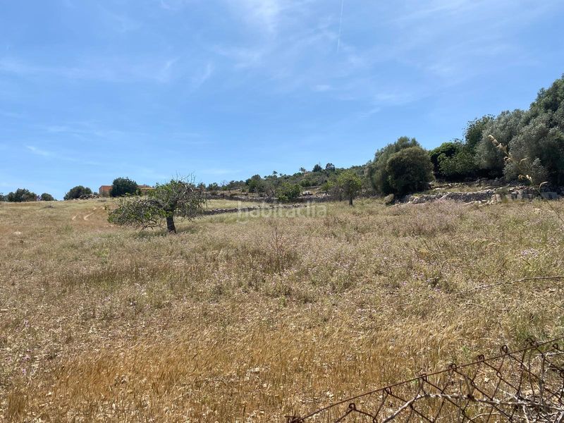 Foto 462dca0a-e782-4ab1-8a5c-d71f2255dccb. Terreno residencial gran parcela edificable en un paisaje fantástico en Son Servera