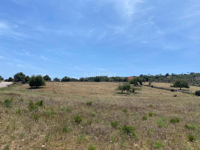 Foto ab82b7ee-e199-42d4-a780-93effb0f7a9f. Terrain résidentiel dans Zona d´Interior Son Servera