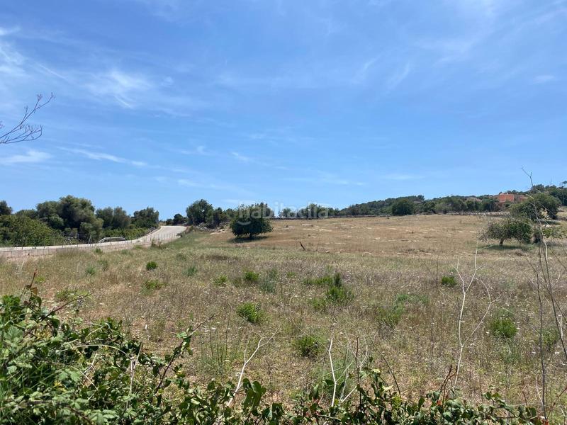 Foto 4c809272-fb68-44d6-8b4f-b7cbd3abc0c7. Wohngrundstück in Zona d´Interior Son Servera