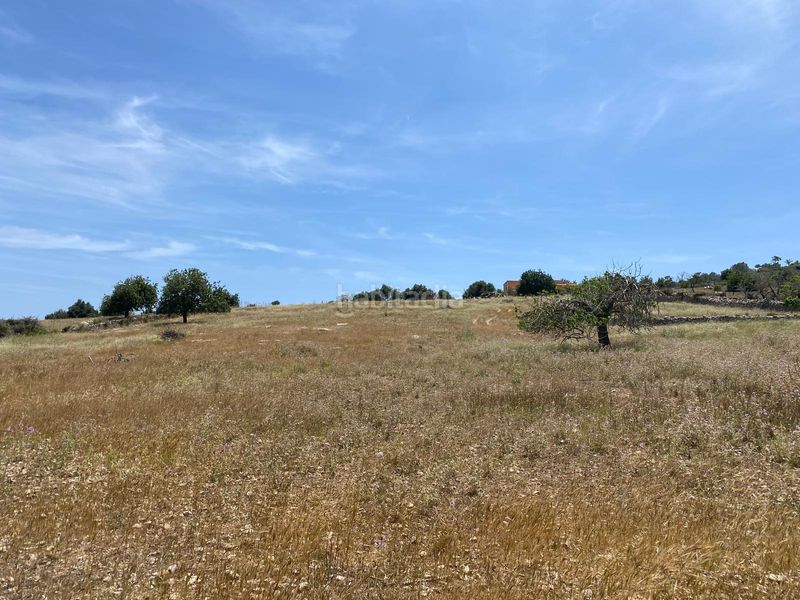 Foto 20c6ae0b-0659-45d1-99c0-8746ebc27852. Terreny residencial a Zona d´Interior Son Servera