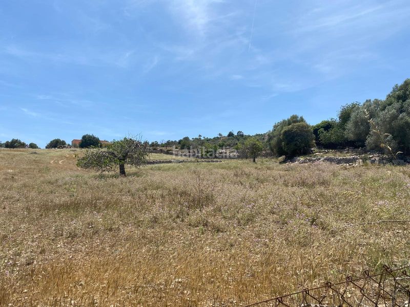 Foto db471d87-2cca-4161-8443-81ea2d2810db. Terreny residencial a Zona d´Interior Son Servera