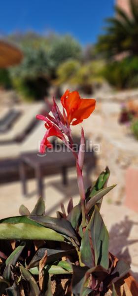 Foto 5547ff51-4722-4318-bca1-bfe5e14b0431. Terreny residencial a Sant Llorenç des Cardassar