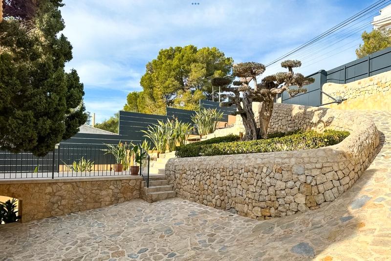 Foto 4a966922-20b5-40bb-bba7-bb70fd19e47b. Maison dans port d´Alcúdia-platja dálcúdia Alcúdia