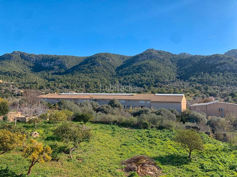 Foto c5f57ded-d743-47da-b141-95e17c786b0f. House in Andratx Andratx