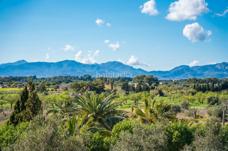 Foto bc48201e-9684-4147-8b01-1e1164efd42a. Casa en Marratxinet Marratxí