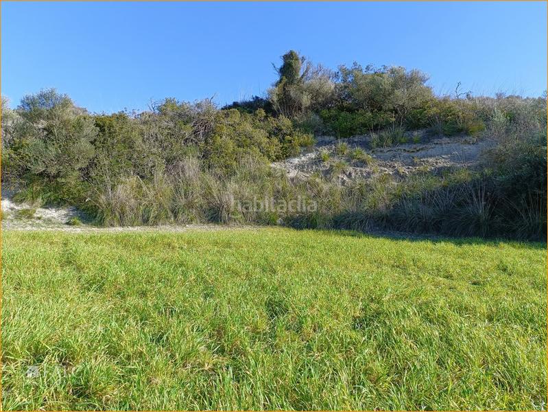 Foto 0f3f2681-e22a-4928-8dc3-e44a5594d1b5. Terreny residencial a Manacor centre Manacor