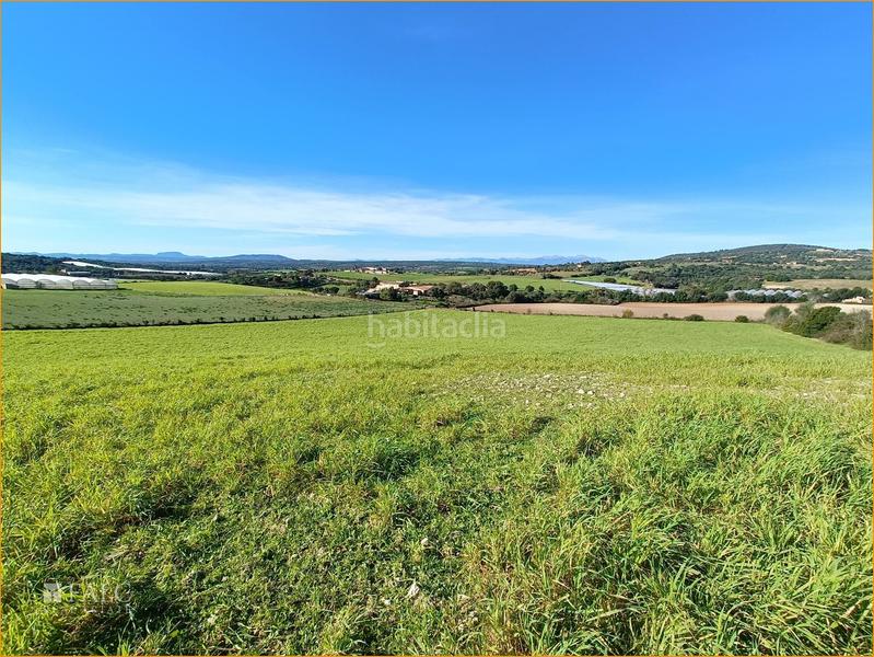 Foto 0fbfbb8f-6c9b-4979-b3b5-cf89327a7d04. Terreny residencial a Manacor centre Manacor