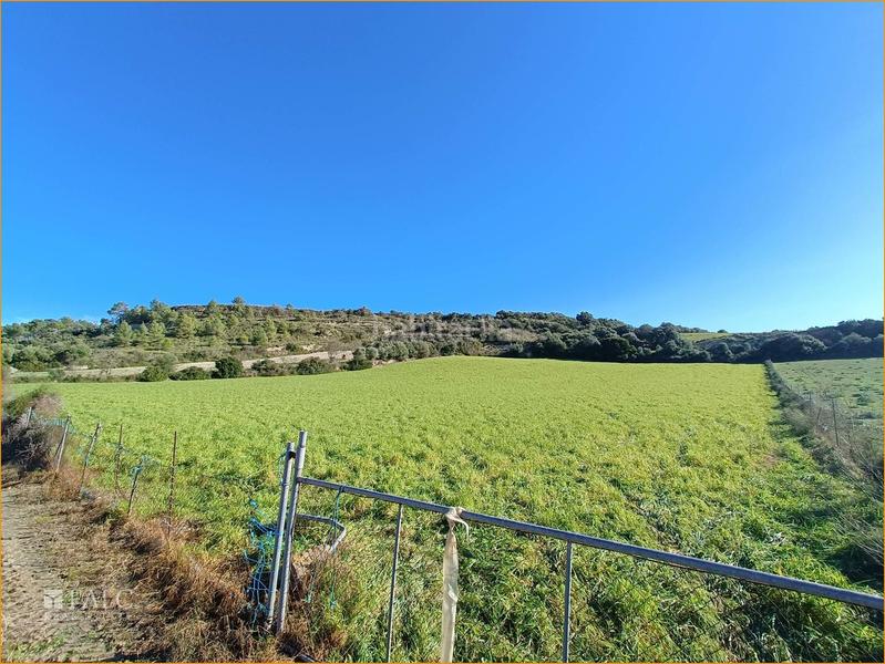 Foto 5817f496-a54f-44e8-b1d5-3117df7d8b87. Terreny residencial a Manacor centre Manacor