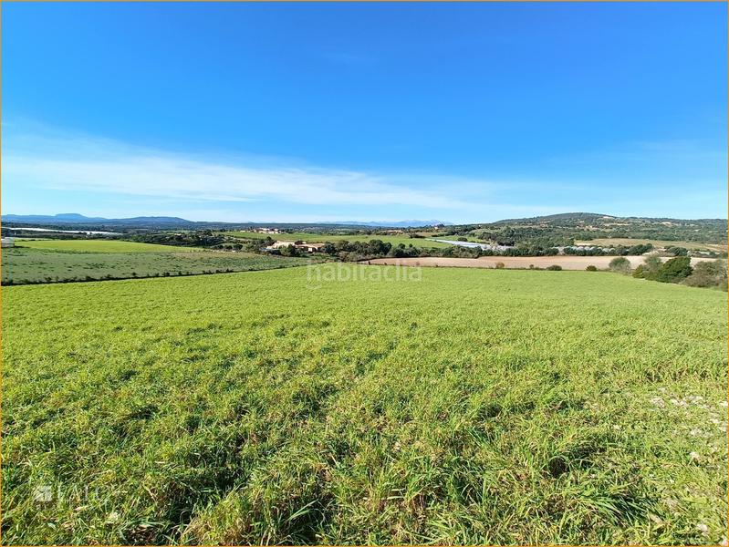 Foto 96e458b3-a643-400d-afa0-7a2ad5f7c1dc. Terreny residencial a Manacor centre Manacor