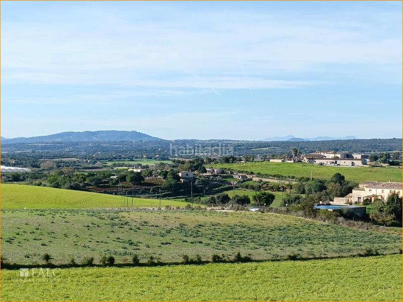 Foto e2720525-a108-48a0-9f8f-70535f0a9cf9. Terreny residencial a Manacor centre Manacor