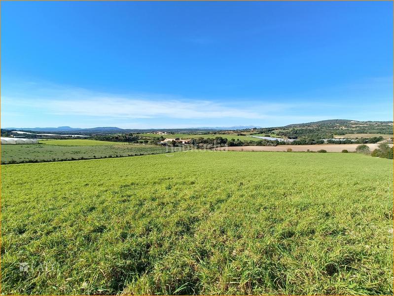 Foto eb4be4fb-1b09-466b-8200-54cbfc99f179. Terreny residencial a Manacor centre Manacor