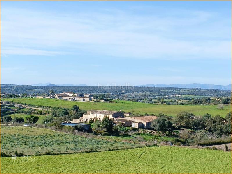 Foto 743ed063-84b4-4609-b1be-afdf4a6d6da3. Terreno residenziale in Manacor centre Manacor