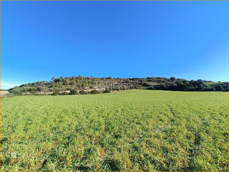 Foto ca4f3c26-d539-48d7-8f66-baf82e382fe7. Terreno residenziale in Manacor centre Manacor