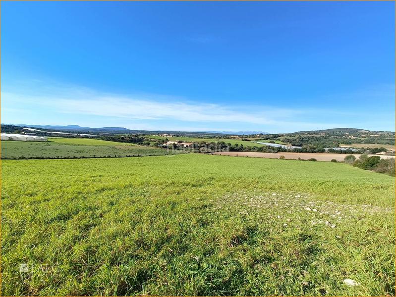 Foto 48a8bac0-4f91-4613-bce9-9fabaeb6f3a8. Wohngrundstück in Manacor centre Manacor