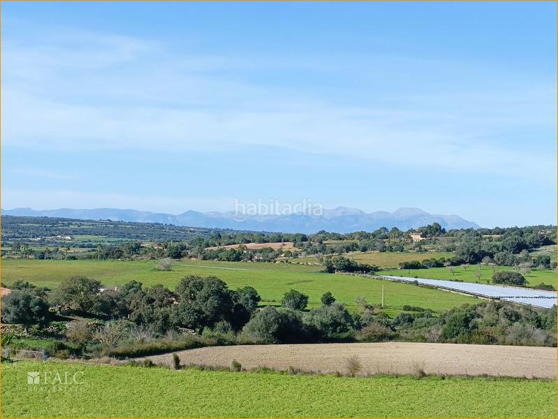 Foto d010ff9c-f33c-4027-b5a9-879fdc91ee81. Wohngrundstück in Manacor centre Manacor