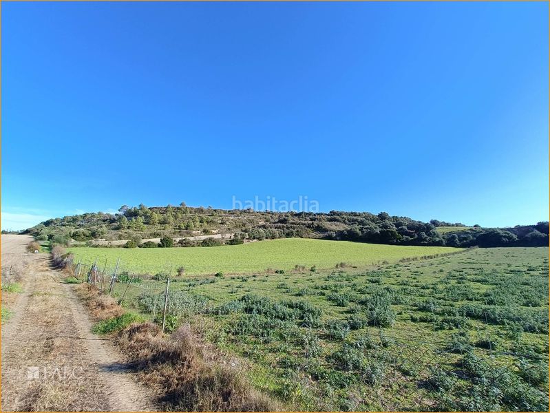 Foto 011601fb-7e29-4ecb-b3c3-617543552008. Terreny residencial a Manacor centre Manacor