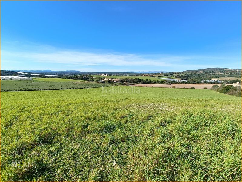 Foto 0fbfbb8f-6c9b-4979-b3b5-cf89327a7d04. Terreny residencial a Manacor centre Manacor