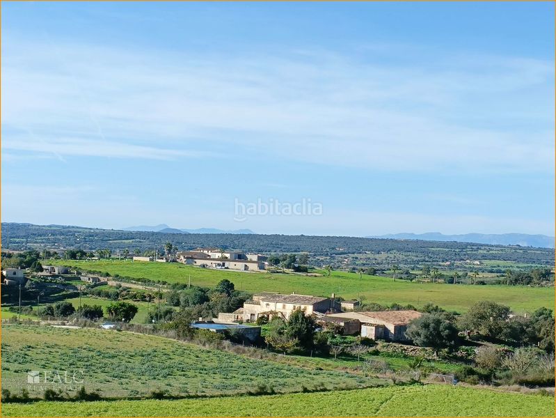 Foto 28a11c20-fc4c-4448-bd48-935e57a9043a. Terreny residencial a Manacor centre Manacor