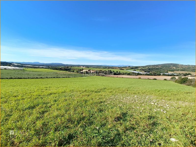 Foto 48a8bac0-4f91-4613-bce9-9fabaeb6f3a8. Terreny residencial a Manacor centre Manacor