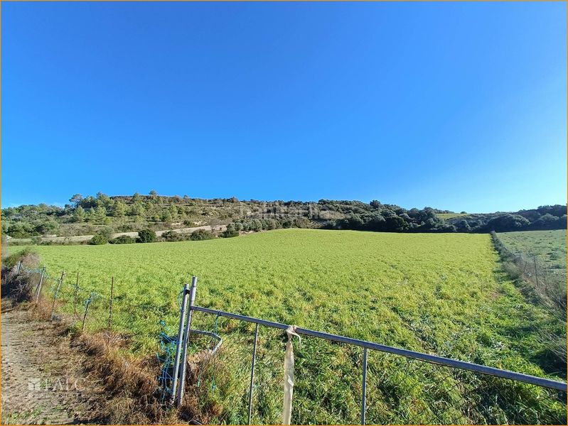 Foto 5817f496-a54f-44e8-b1d5-3117df7d8b87. Terreny residencial a Manacor centre Manacor