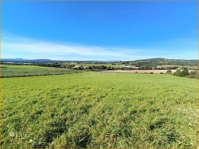 Foto 96e458b3-a643-400d-afa0-7a2ad5f7c1dc. Terreny residencial a Manacor centre Manacor