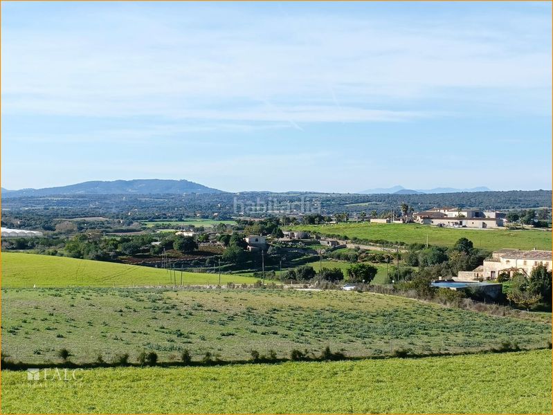 Foto e2720525-a108-48a0-9f8f-70535f0a9cf9. Terreny residencial a Manacor centre Manacor