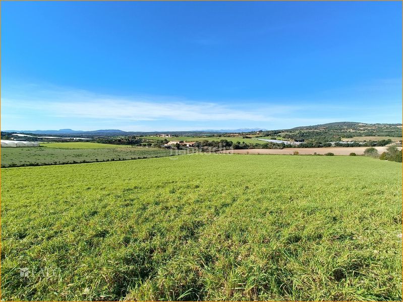 Foto eb4be4fb-1b09-466b-8200-54cbfc99f179. Terreny residencial a Manacor centre Manacor