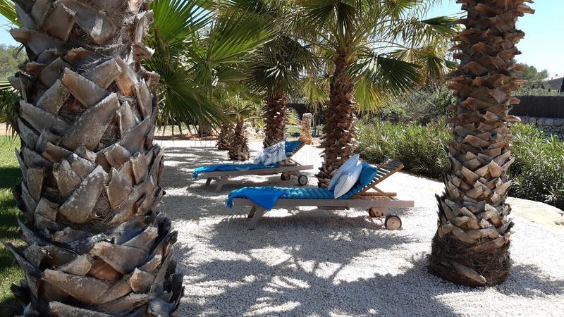 Foto 69dde385-6cd7-45ad-9db7-cccca2e67137. Terreno residenziale in Felanitx poble Felanitx