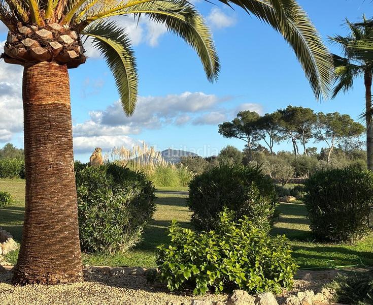 Foto d344c6ff-96b9-487d-909d-263a301fe6a4. Terreno residenziale in Felanitx poble Felanitx