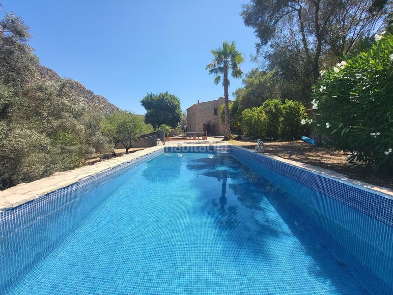 Foto 9a65fe49-8c84-45f8-b2ac-9cad3ee52893. Terreny residencial a Andratx Andratx