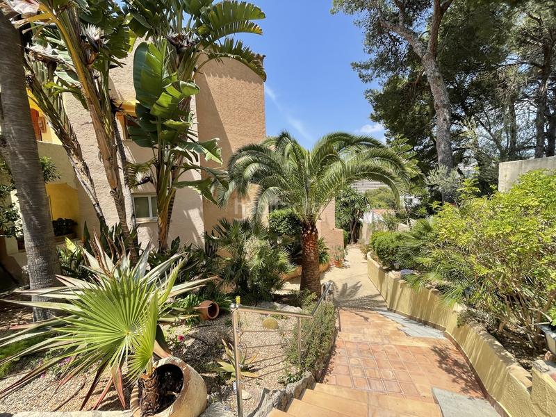 Foto b2de7c35-5713-4cb7-b470-3701bf08595b. Attique dans Es Camp de Mar Andratx