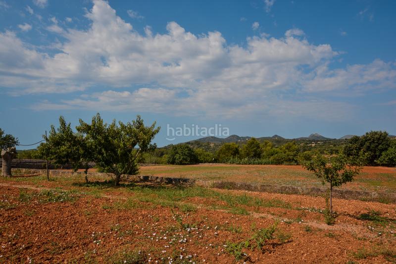 Foto 0cb8d455-431c-44c0-9d8a-c402558462e0. Terreno residenziale in Artà poble Artà