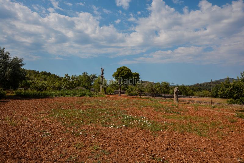 Foto 4ccf6d7f-6508-4c55-b73f-771641070a48. Terreno residenziale in Artà poble Artà