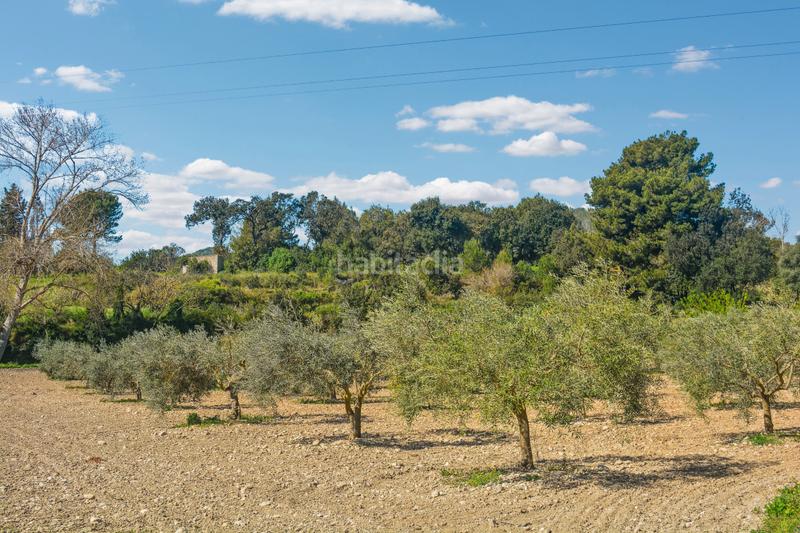 Foto 037351c5-00f4-42b5-9069-c586b6458227. Terreno residencial en Zona d´Interior Son Servera