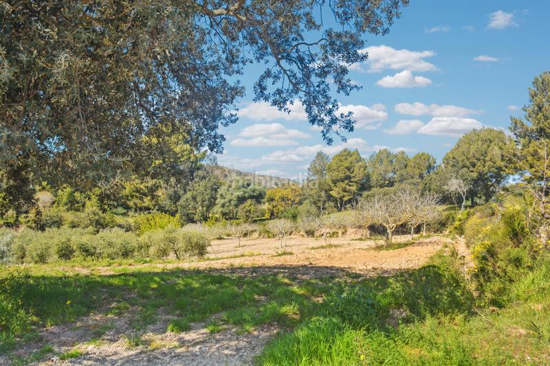 Foto 7695fb0c-9f14-4131-b595-13f122b41128. Terreno residencial en Zona d´Interior Son Servera
