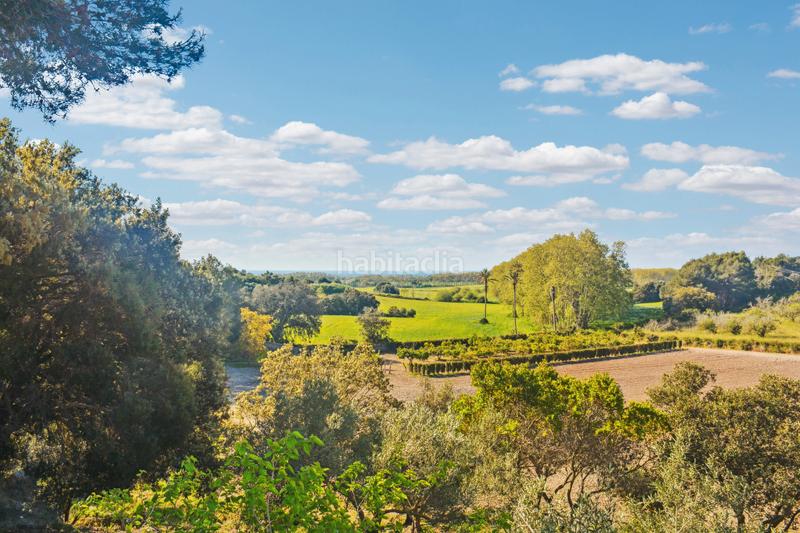 Foto 7ebe4dfd-d40b-4ab2-918c-5bbef8eb9c1a. Terreno residencial en Zona d´Interior Son Servera