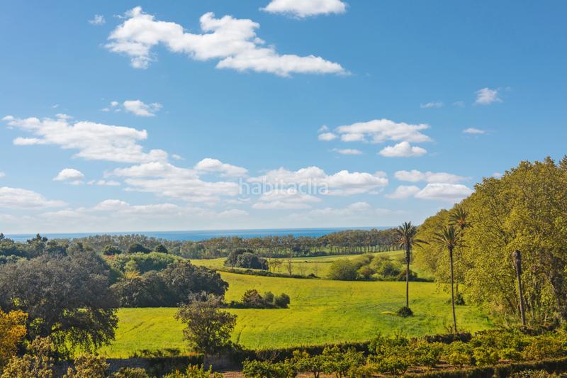 Foto c5c14936-17a1-447c-a8da-6f17abb0bf30. Terreno residencial en Zona d´Interior Son Servera