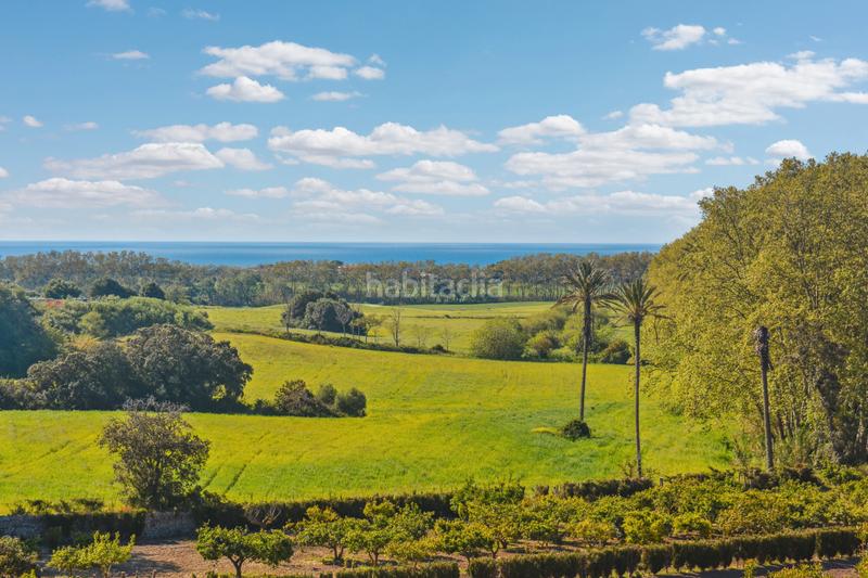 Foto 15ed8c16-fdc4-46b9-bc7f-3aeb76f65c73. Terrain résidentiel dans Zona d´Interior Son Servera