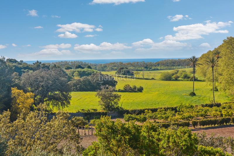 Foto 5646413c-ae8b-4de3-8e68-33937d64530f. Terrain résidentiel dans Zona d´Interior Son Servera
