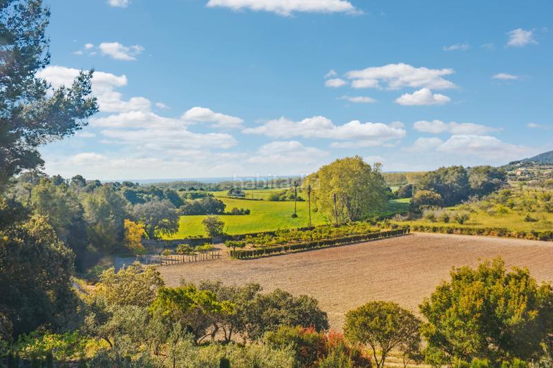 Foto 9e803c2c-dd59-4fc0-81b5-a07c8a0f7bd4. Terrain résidentiel dans Zona d´Interior Son Servera