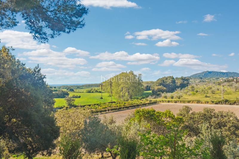 Foto d9cfb613-af2e-41b4-9b5b-fb12a9ac2daa. Terrain résidentiel dans Zona d´Interior Son Servera