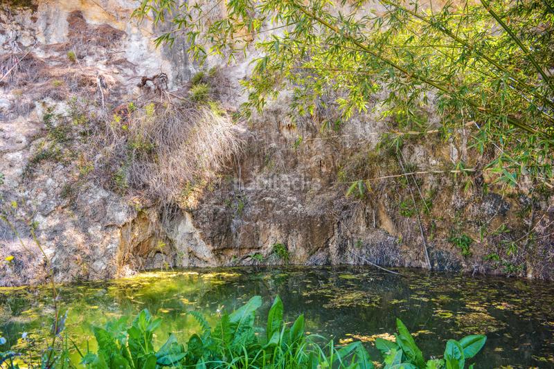 Foto f2ad811a-3a0c-4025-bc34-99acf7801483. Terrain résidentiel dans Zona d´Interior Son Servera