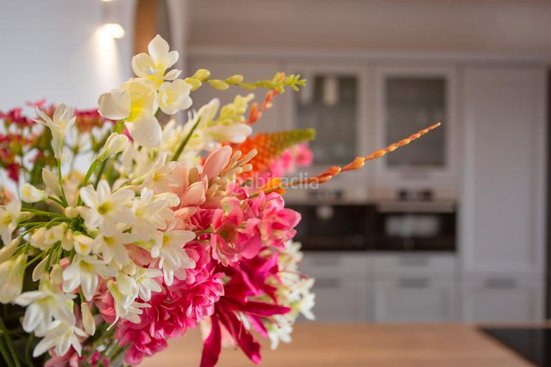 Foto 7df94c29-37e8-4144-8cfb-a50b40b71c71. Casa adossada a Capdepera poble Capdepera