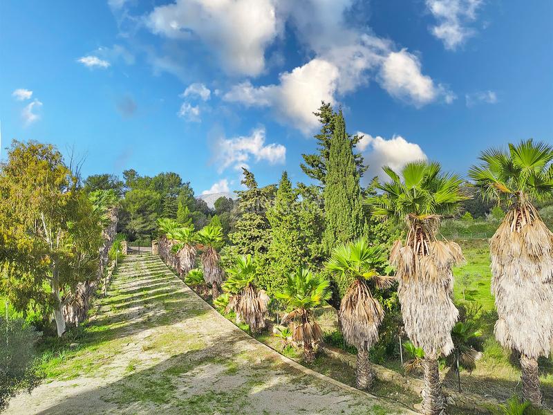 Foto cecda177-e8cf-4a02-a157-254fbf044f02. Wohngrundstück in Artà poble Artà