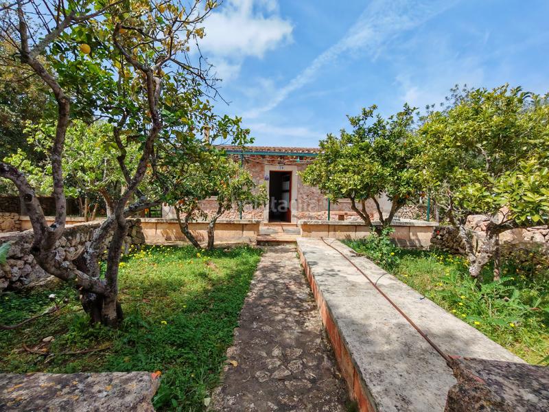 Foto 29364f32-7d5b-4730-b703-0f861b8bf104. Terreny residencial a Felanitx poble Felanitx