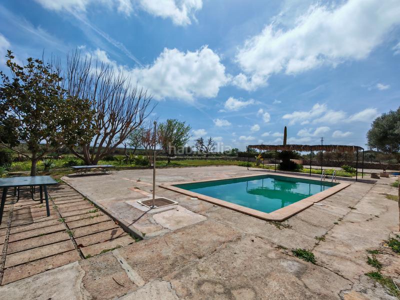 Foto 4a3235c6-6872-4ddd-b27b-836f7d6612ad. Terreny residencial a Felanitx poble Felanitx